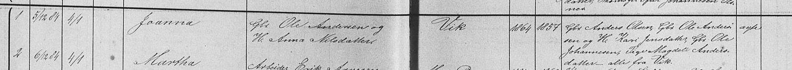 1884 Johanna Vik kirkebok.jpg